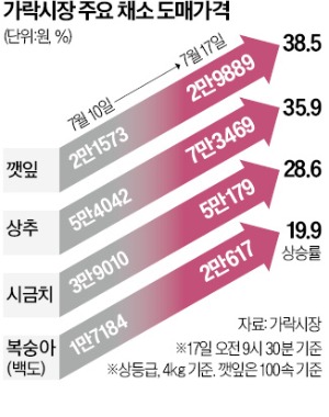 신선식품 산지 초토화…상추·시금치·복숭아 20~30% '껑충'