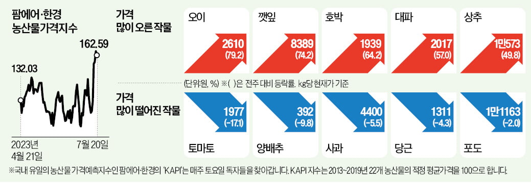 식탁 덮친 폭우…오이·깻잎 1주일새 70% 폭등