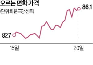 美·中·인도 면화생산 차질…기저귀부터 신발값까지 '꿈틀'