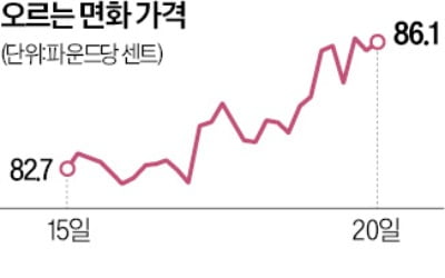 美·中·인도 면화생산 차질…기저귀부터 신발값까지 '꿈틀'