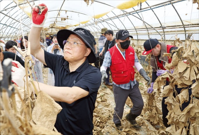 [포토] ‘찜통 더위’ 속 수해복구 팔 걷은 카지노 꽁 