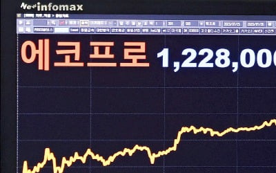 19% 오르다 돌연 마이너스 12%…코인판 된 카지노 슬롯머신 규칙