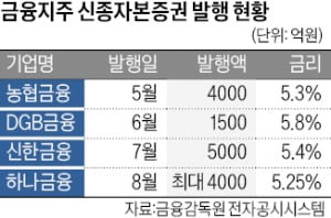 금융지주 신종자본증권 올 발행액 3조 넘었다