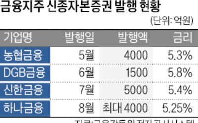 금융지주 신종자본증권 올 발행액 3조 넘었다