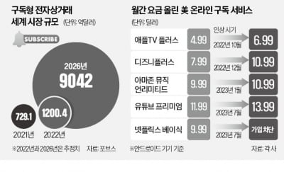 구독플레이션 시대…'디지털 품위유지비' 月 30만원