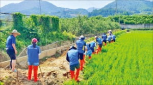 신한금융, 충주서 수해복구 봉사활동