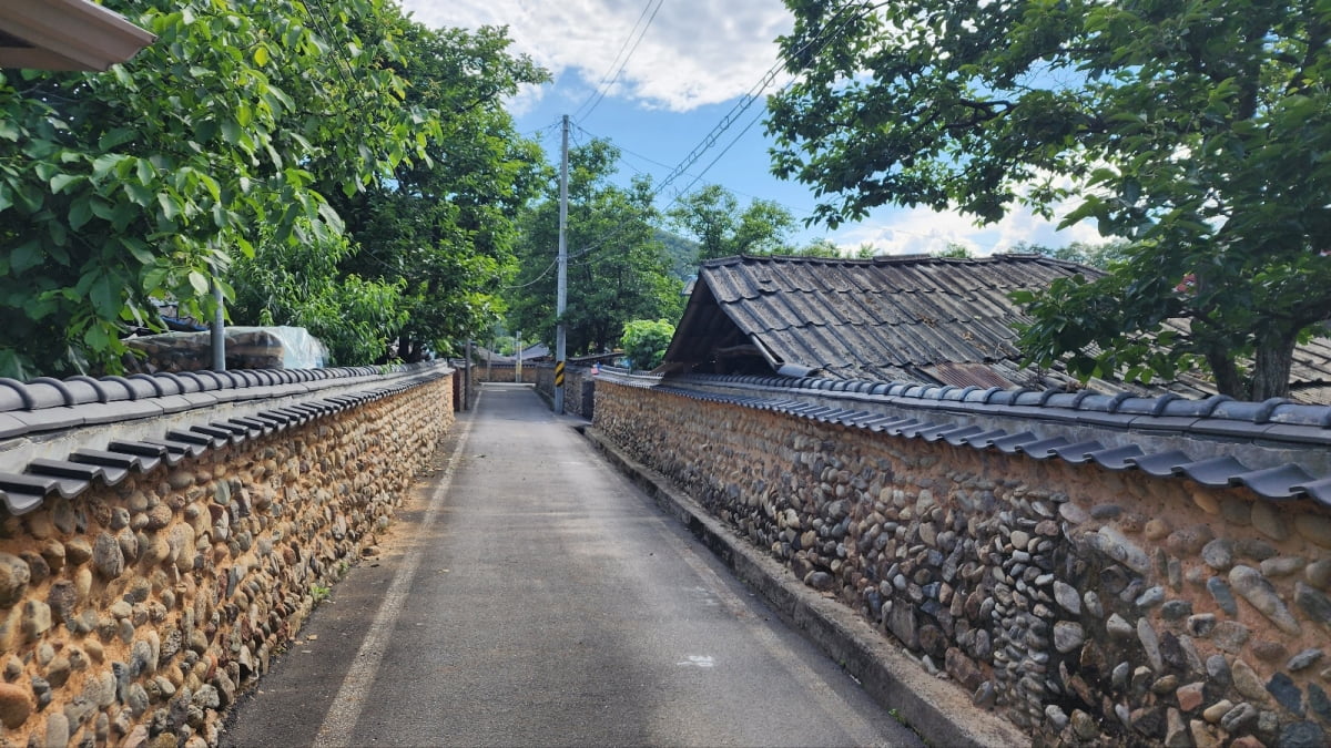 조선시대 전통 토석담장이 전해지는 지전마을. 지난 2006년 6월 문화재청으로부터 국가등록문화재로 지정됐다. 