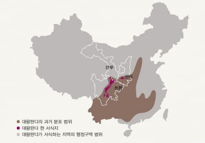 판다 외교에서 전랑 외교로…‘밉상’ 된 중국 [판다의 정치경제학③]