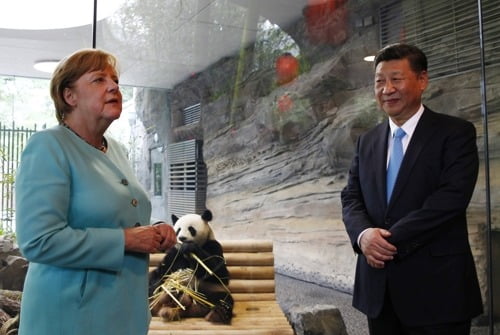 2017년 7월 6일 시진핑(오른쪽) 중국 국가주석과 앙겔라 메르켈 당시 독일 총리가 베를린동물원의 판다 우리를 함께 찾았다. 중국의 판다 외교를 보여주는 일화다. 사진=연합뉴스