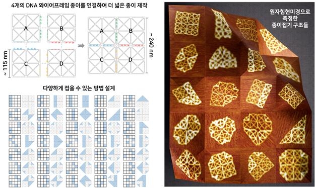 자유롭게 접었다 폈다…DNA로 나노 구조체 만들었다