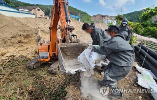 충주서 과수화상병 4곳 추가…충북 누적 87건 32.9㏊