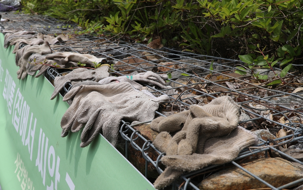'쓰레기산'에 숲 키우는 활동가 "여기 사는 동식물에게 고맙다"
