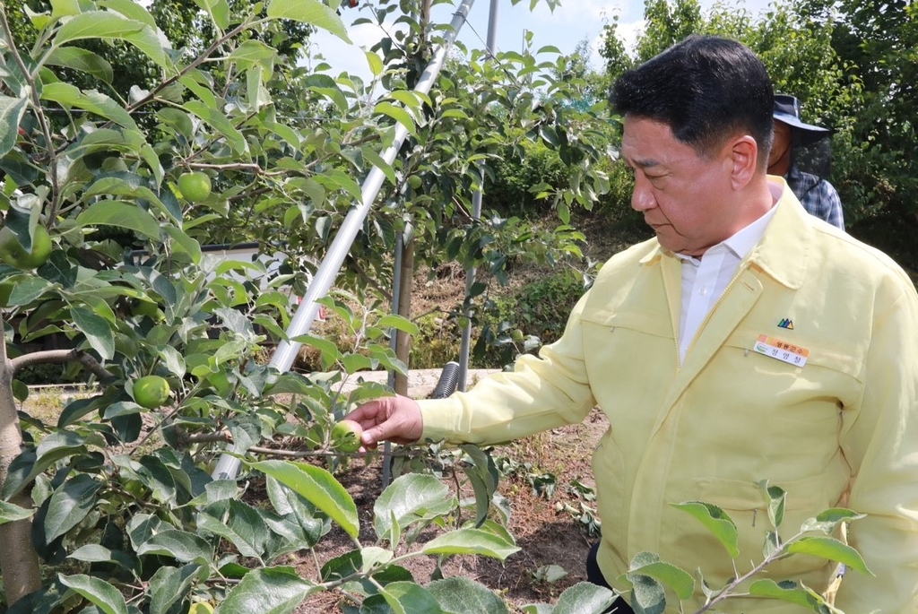 영동군 우박피해농가 방제비 긴급 지원…㏊당 252만원