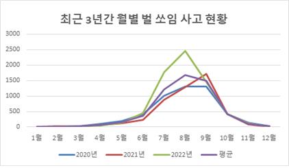 무더운 여름철 말벌 주의…"밝은 옷 입고 향수는 삼가야"