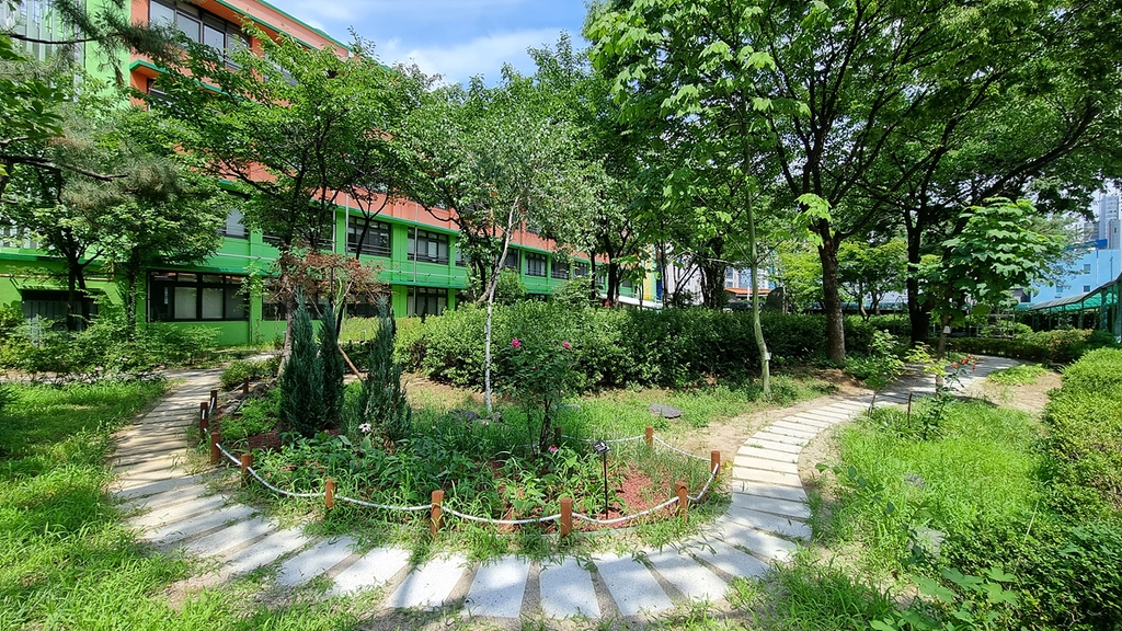 대구 계성초·황금초·송현여고에도 학교숲 생겼다