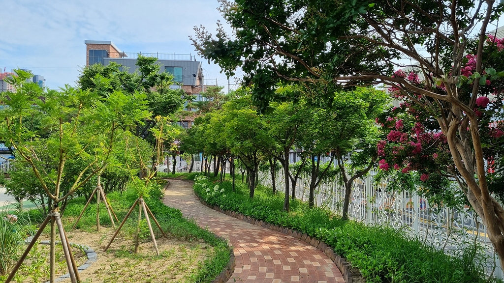 대구 계성초·황금초·송현여고에도 학교숲 생겼다