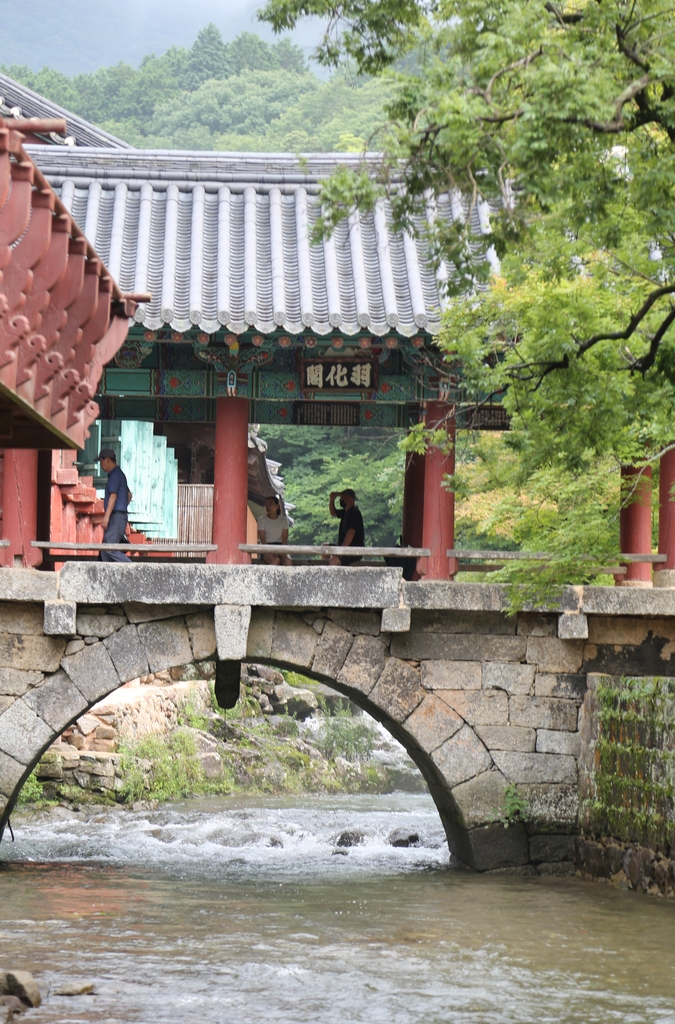 "수행자 아닌 사람은 없다…오일장 할머니가 더 자비심 많아"