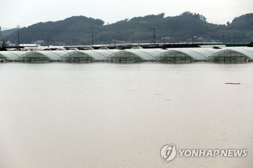 전북 '478㎜ 물 폭탄' 피해 속출…농경지 침수 1만㏊ 육박