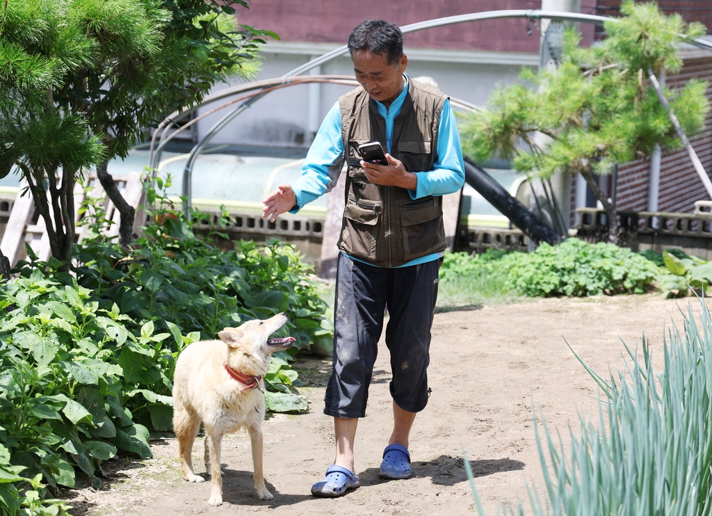 "집 찾아왔네"…산사태로 실종된 '犬 진순이' 27시간 만에 귀환