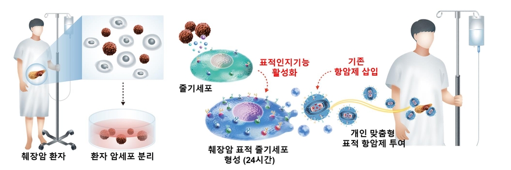 가천대 연구팀, 췌장암 표적 치료 원천기술 개발