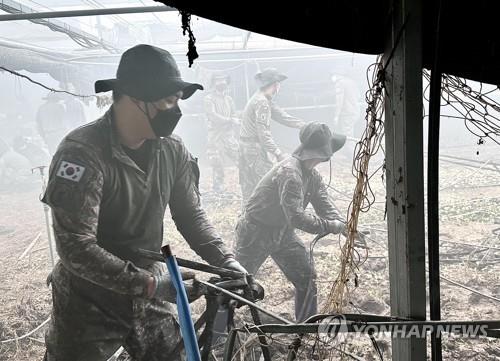 군, 수해복구에 병력 1만1천명 투입…누적 3만2천명 지원