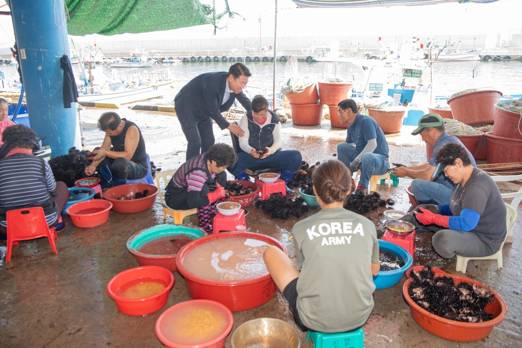 "성게 맛보러 초도항으로 오세요"…12년 만에 21∼23일 축제