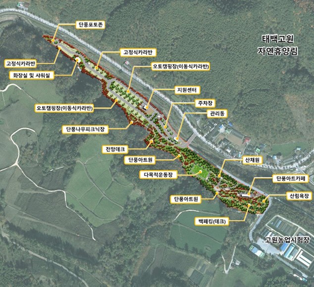 태백시, 76억 투입 3만8천㎡ 규모 고원 힐링 캠핑장 조성