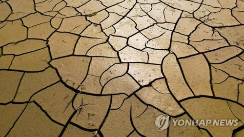 폭염에 3대륙 펄펄 끓는다…"질식사할 수 없다" 파업 움직임까지