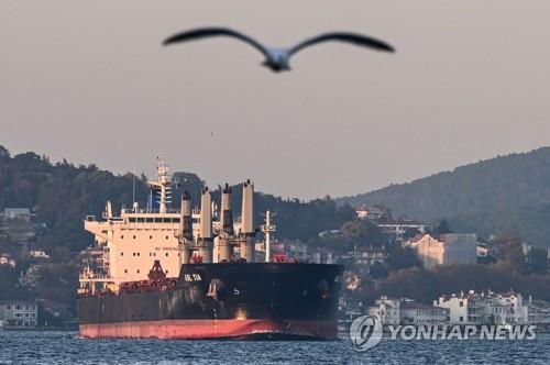 푸틴 "우리가 우크라 곡물 대체"…국제식량시장 혼란 장기화하나