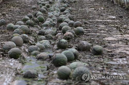 익산시, 호우피해 주민 지방세 유예·감면…침수 차량도 지원