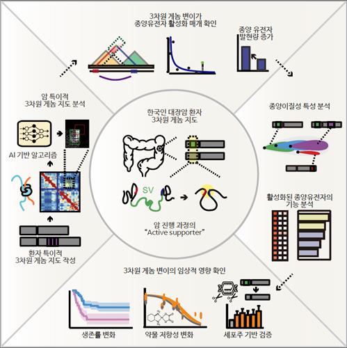 KAIST, 인공지능 활용 대장암 3차원 게놈 지도 해독