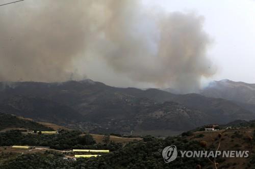 알제리서 산불로 34명 사망…"48도 기록적 폭염에 화재 기승"