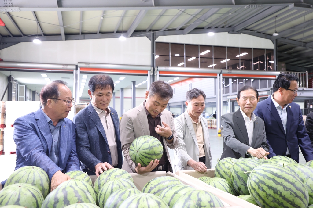 진안군 수박 본격 출하…3천400t 공동 판매