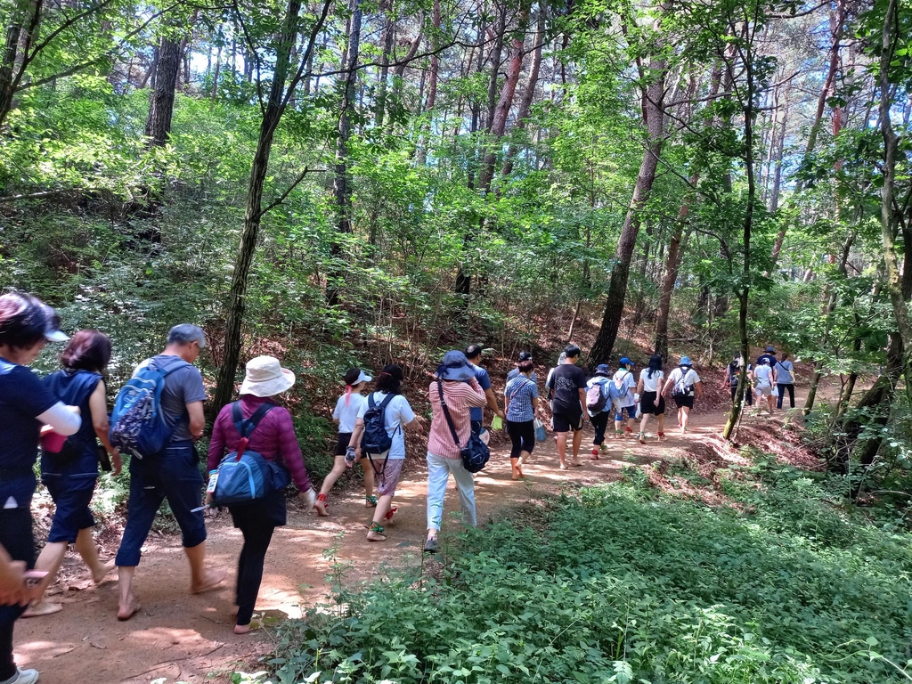 원주시 전국 최초 '트레킹 도시' 선포…9월에 맨발 걷기 축제