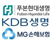 보험사 첫 킥스비율 공개…푸본·KDB·MG '미달'