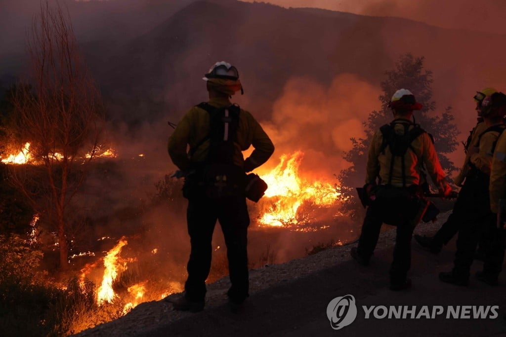 美 캘리포니아 남부서 산불 5건 동시다발 '초비상'