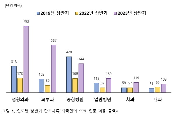 日 관광객이 한국서 쓴 성형비용 25배 늘었다