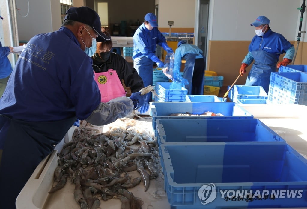 中, 日수산물 전면 방사선 검사…오염수 방류 '맞불'