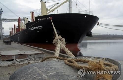 "러시아 가는 선박 위험해질 수도" 우크라 맞불