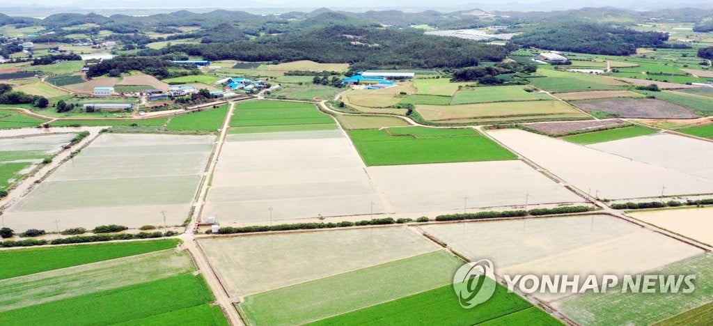 '땅부자' 이렇게나 많네…2천만명 육박