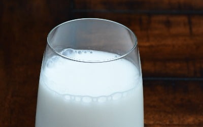 10월부터 우유 원유 가격 인상