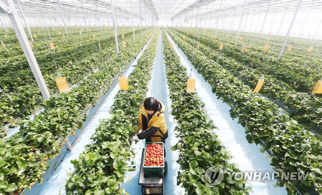 창원형 스마트팜 육성 계획 수립한다…시, 연구용역 착수