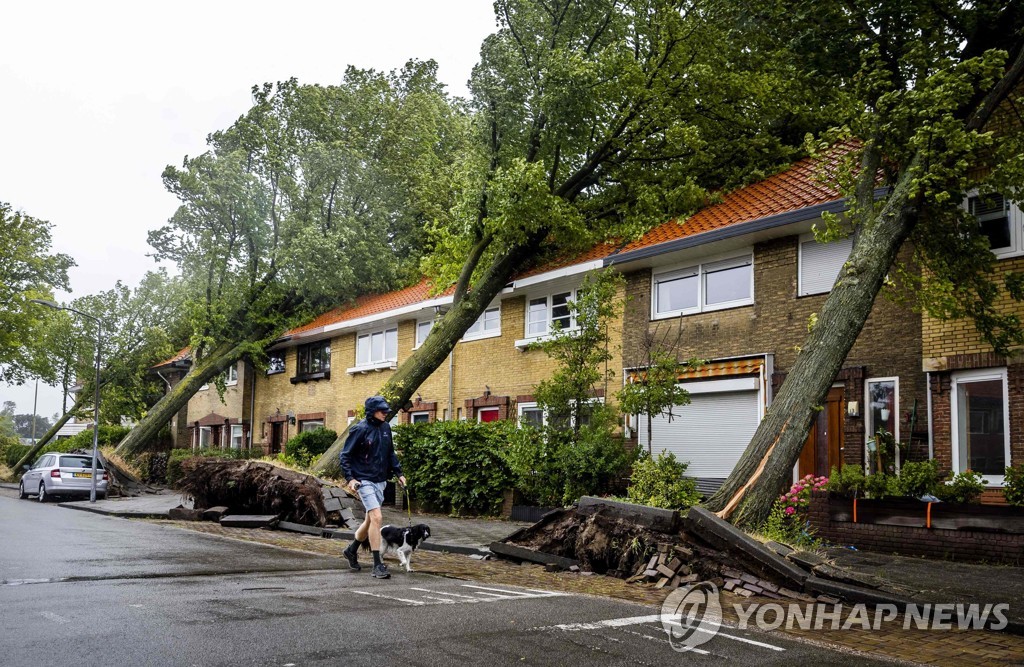 "나무 뿌리째 뽑혀"…역대급 여름폭풍에 네덜란드·독일 마비(종합)