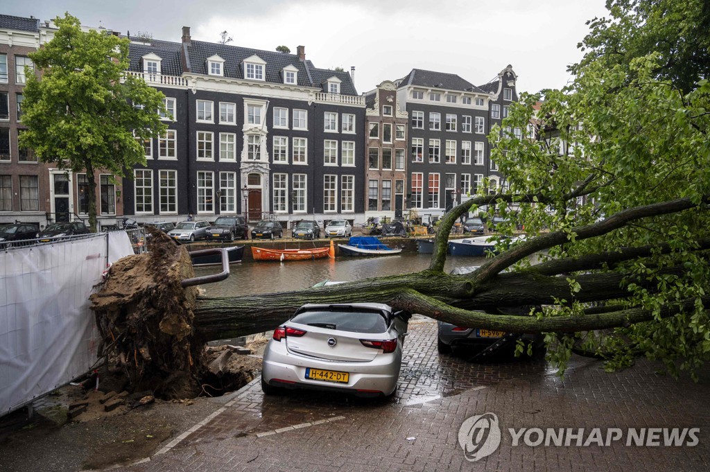 "나무 뿌리째 뽑혀"…역대급 여름폭풍에 네덜란드·독일 마비(종합)