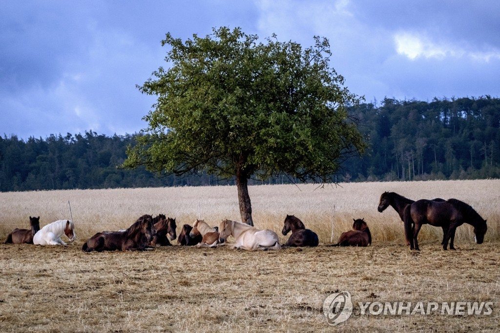 독일 시민 51%, 폭염 속 시에스타 도입 반대…27%만찬성