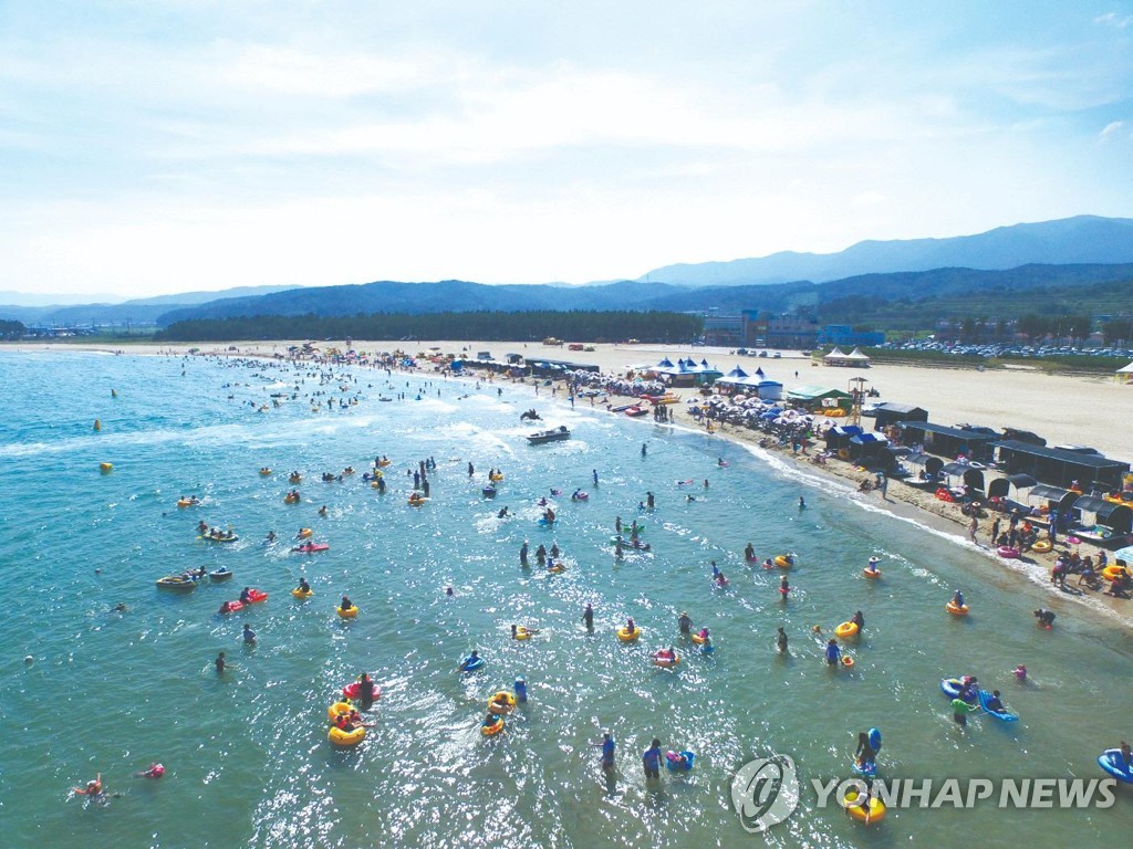 경북도, 동해안 백사장 중금속 오염도 검사…"환경기준 만족"