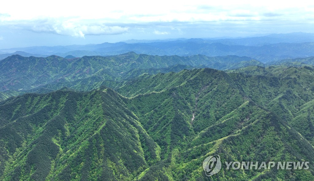 '산 소유자 느는데 면적은 감소' 산림청, 산주 현황 발표