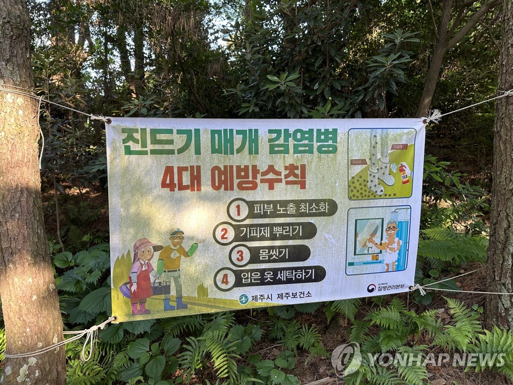 진드기 물린 환자 숨져 "길고양이 접촉…감염경로는 불분명"(종합)