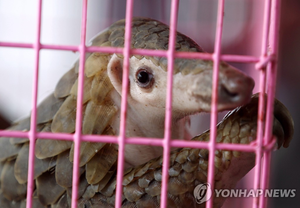 미, 개도국 '꼭두각시 경찰' 지휘…천산갑 보호하고 마약단속도