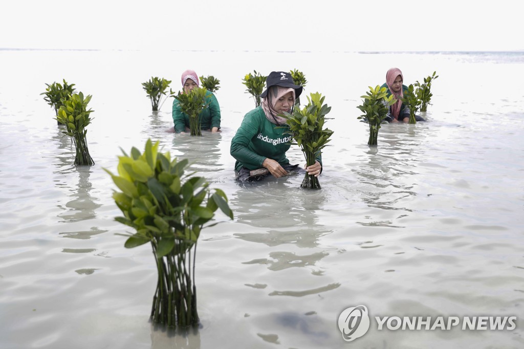 해운업 2050년까지 '탄소제로' 잠정합의…업계 초비상 예고